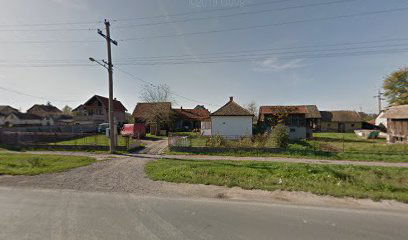 Autoprevoznik Bosko Boskovic PR Zvecka, Brace Joksica 50