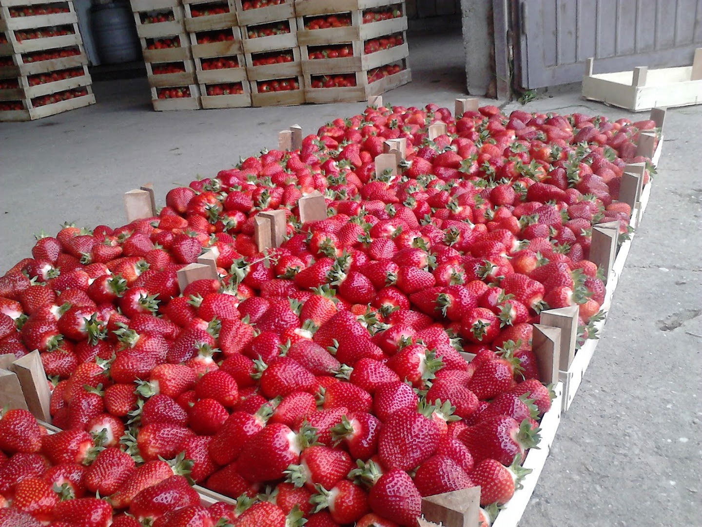 Gazdinstvo Milenković