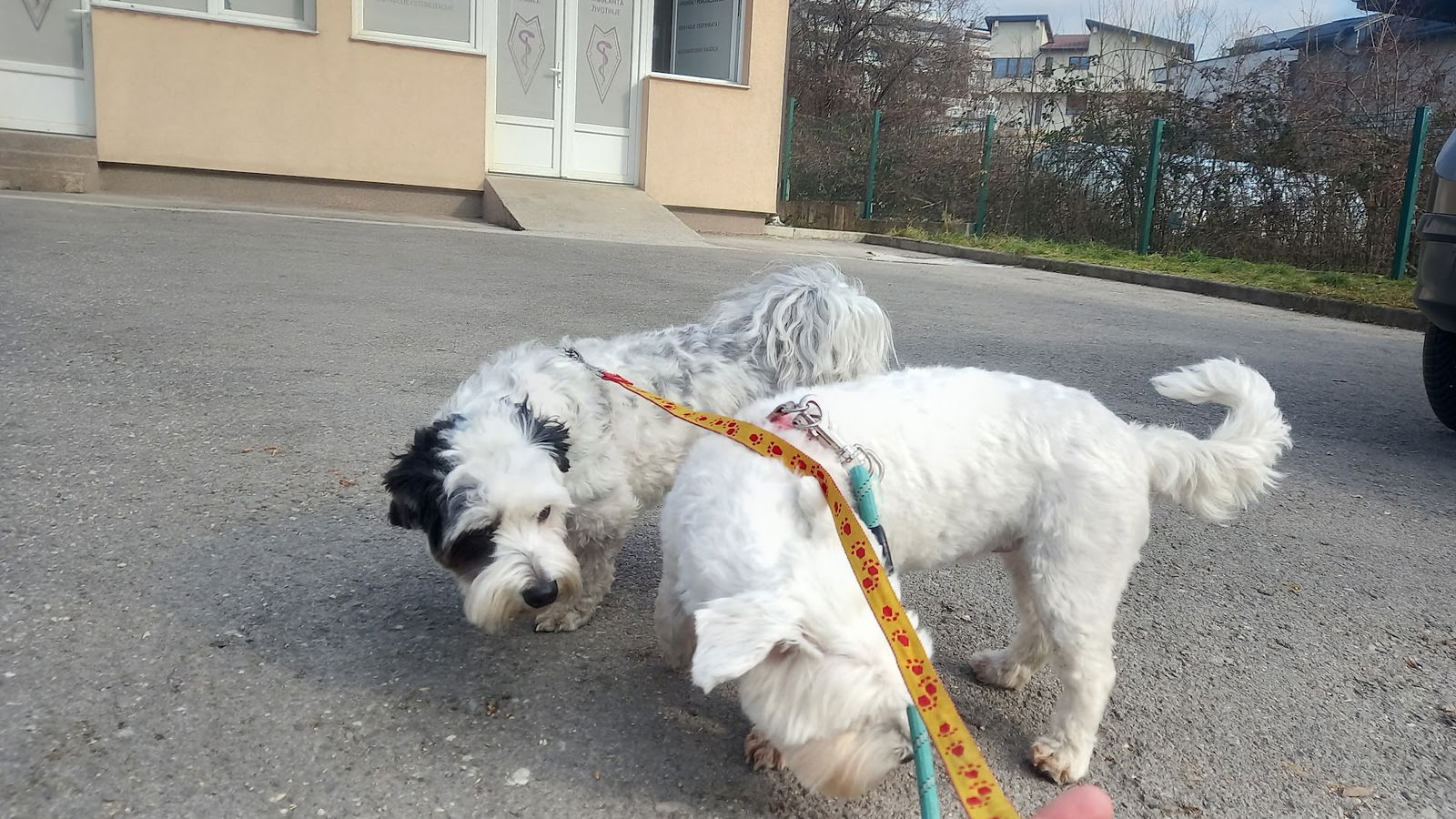 Veterinarska stanica Slatina