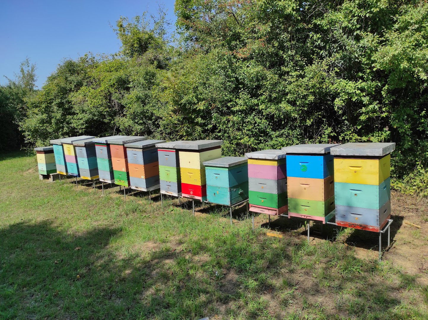 Pčelinjak Sladojević