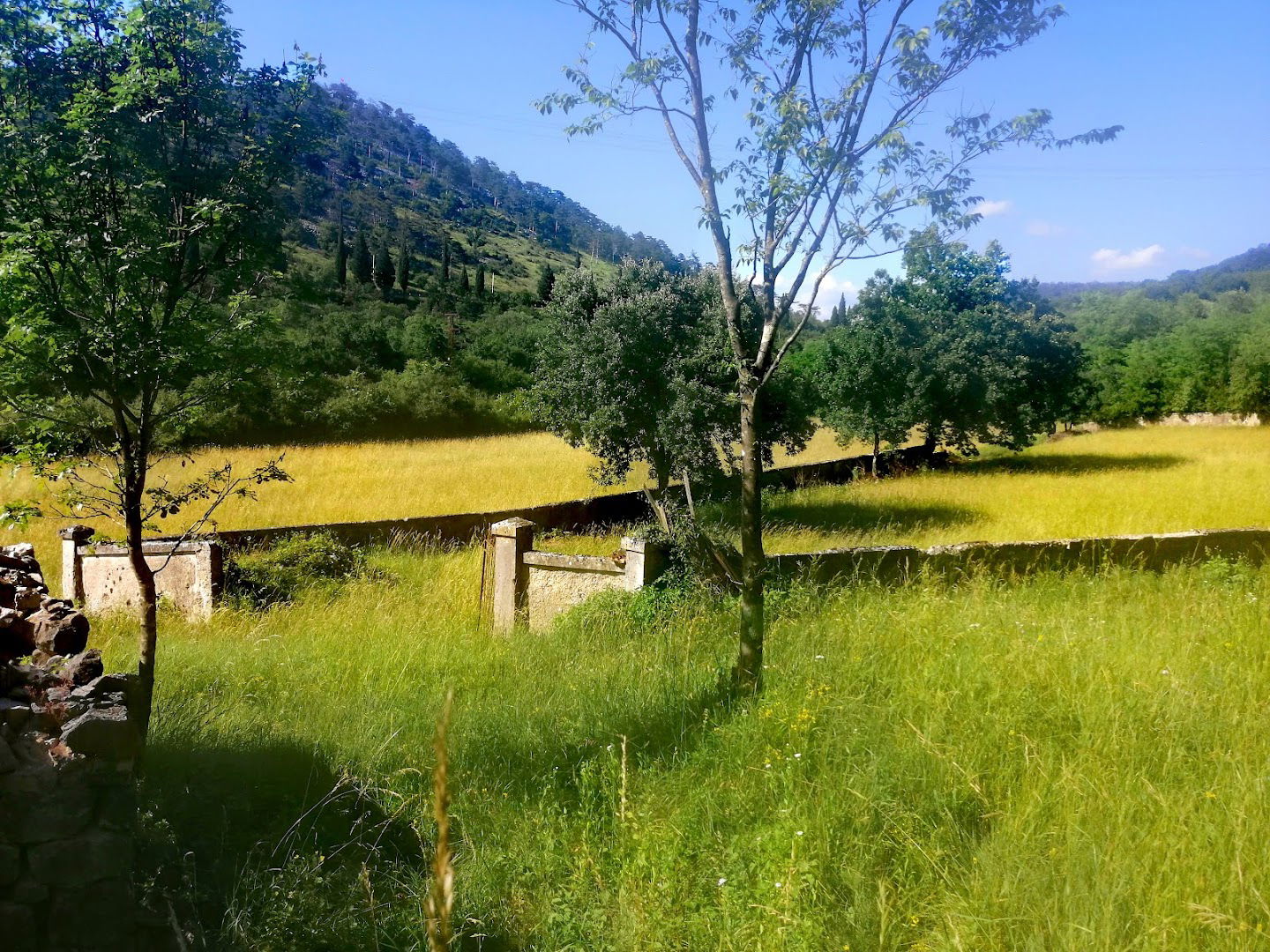 Italian Military Cemetery - Lieutenant Cicognani
