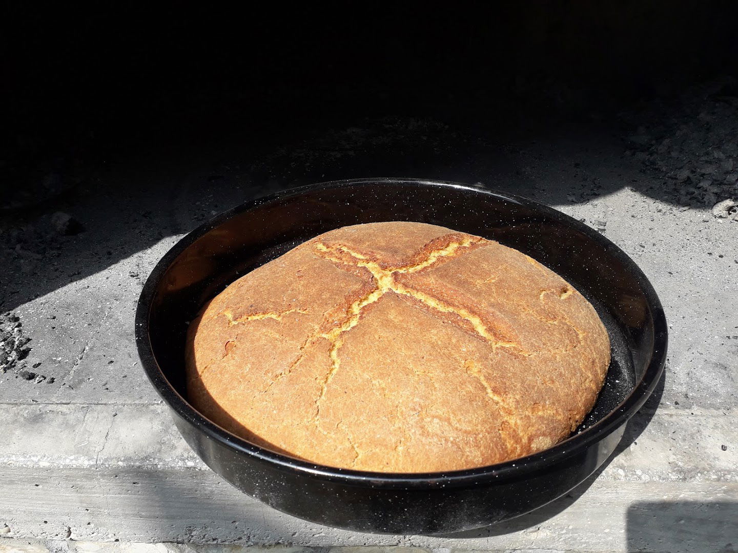 Little Greyhound holiday house