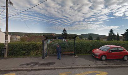 Pilota Mihajla Petrovića