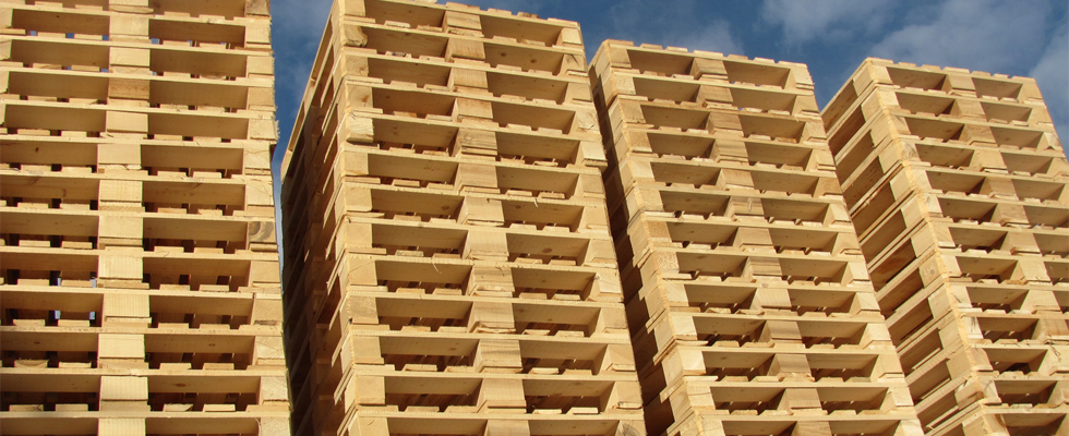 Pilana Ivoli - Drvene palete po narudžbi