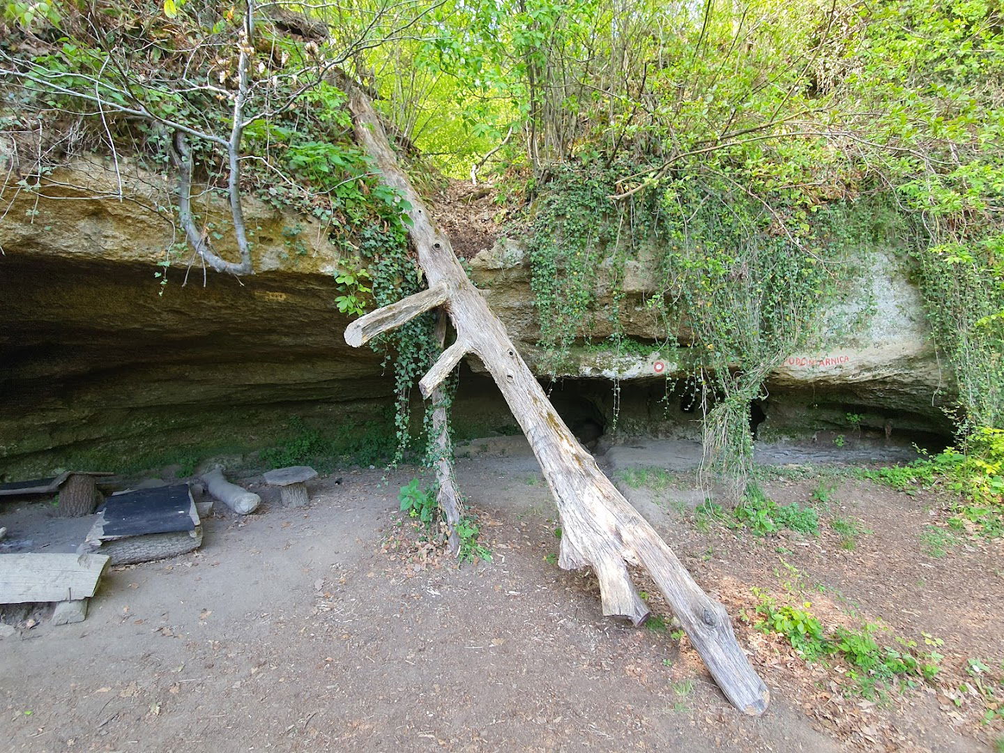 Podcintarnica Cave