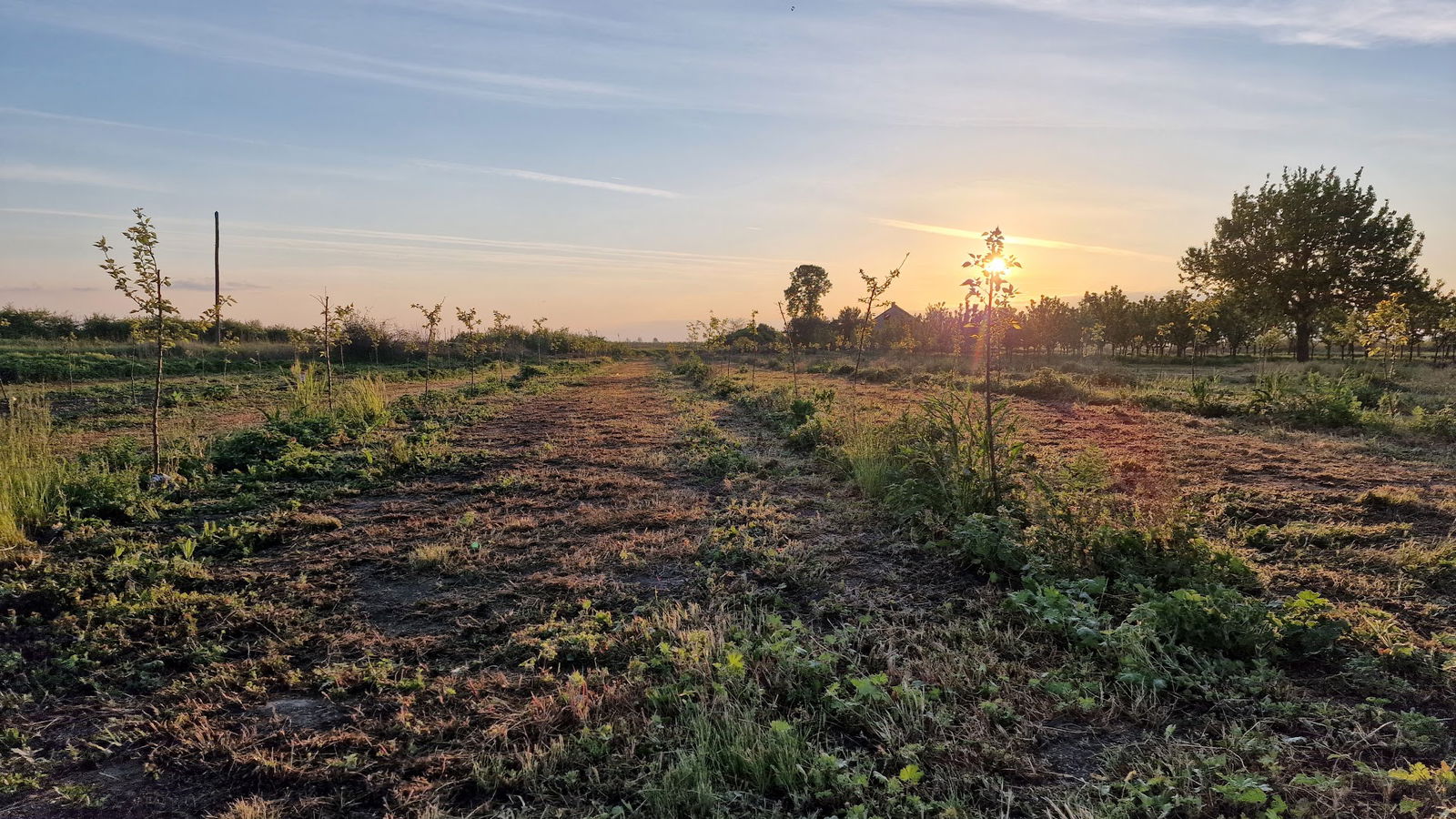 Residence lukanović