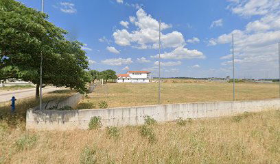 Stadion Tihomir Mitrović, NŠK Raštane