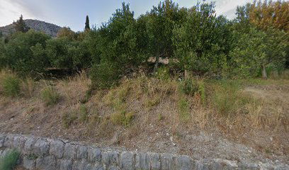 Church of the Annunciation of the Blessed Virgin Mary