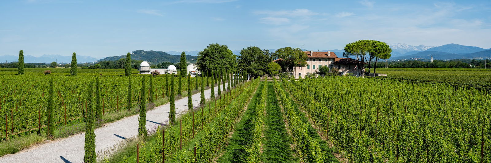 Tenuta Borgo Conventi S.R.L.