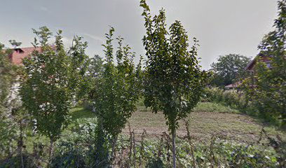 Easy Drive Rent-a-Car