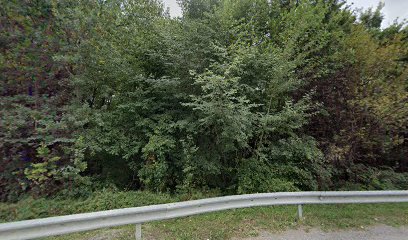 Skladišče T1 Mihele