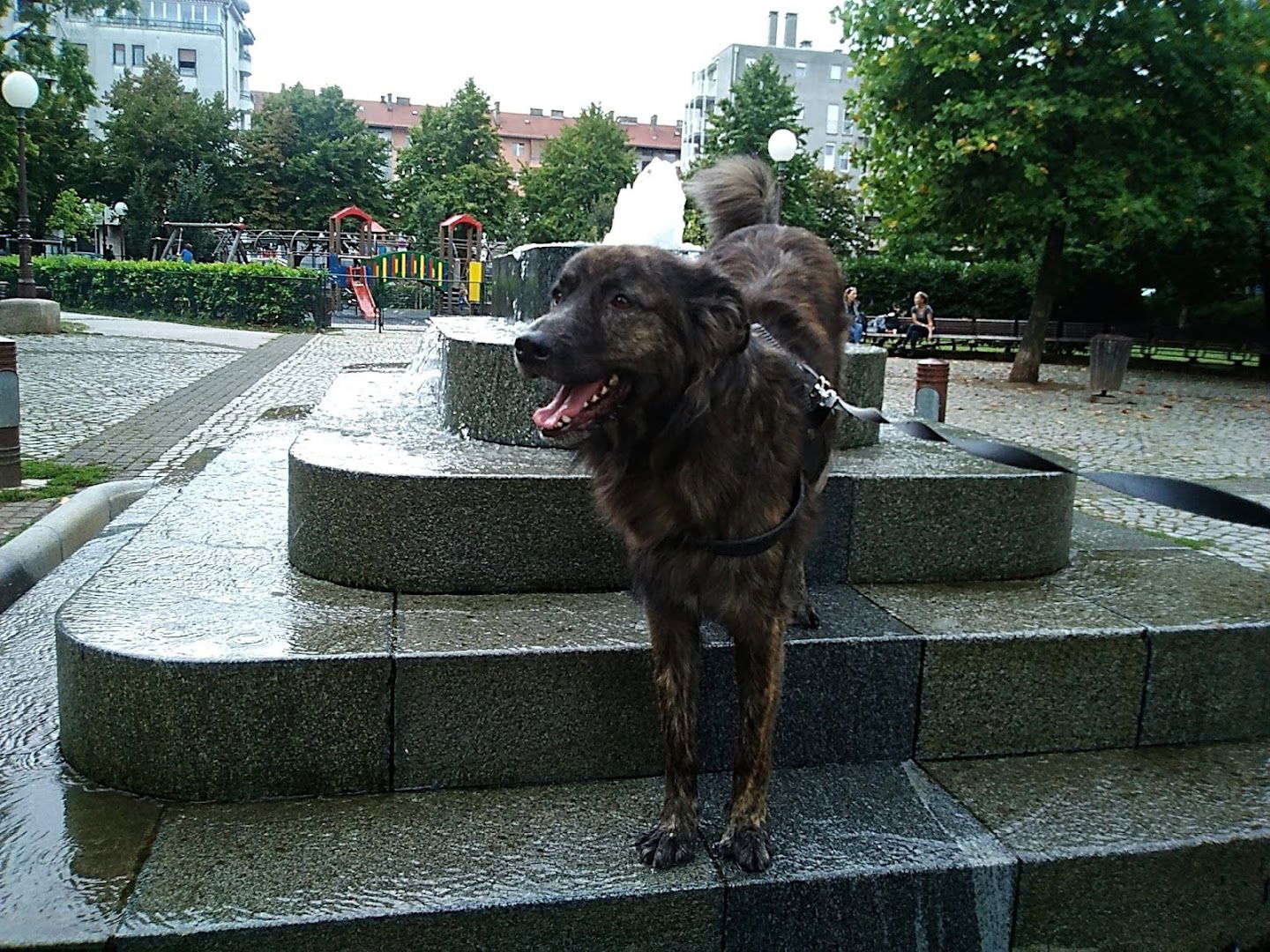 Apartmani i sobe Jordanovac