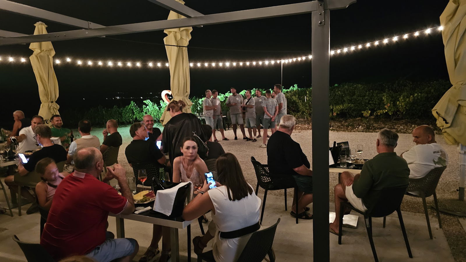 OPUS Wine - Organic Single-Vineyard Estate