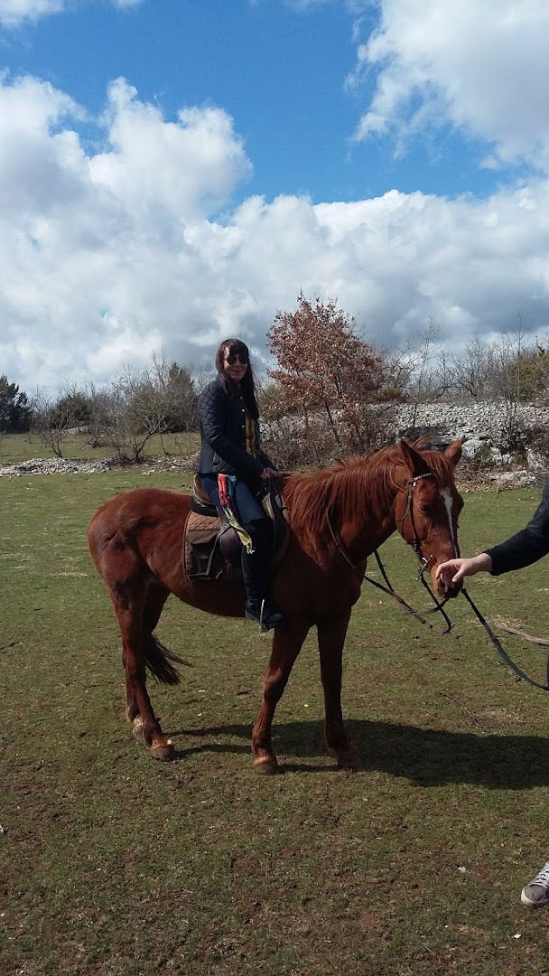 Equestrian Club Natura