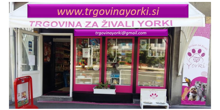 Trgovina za živali Yorki