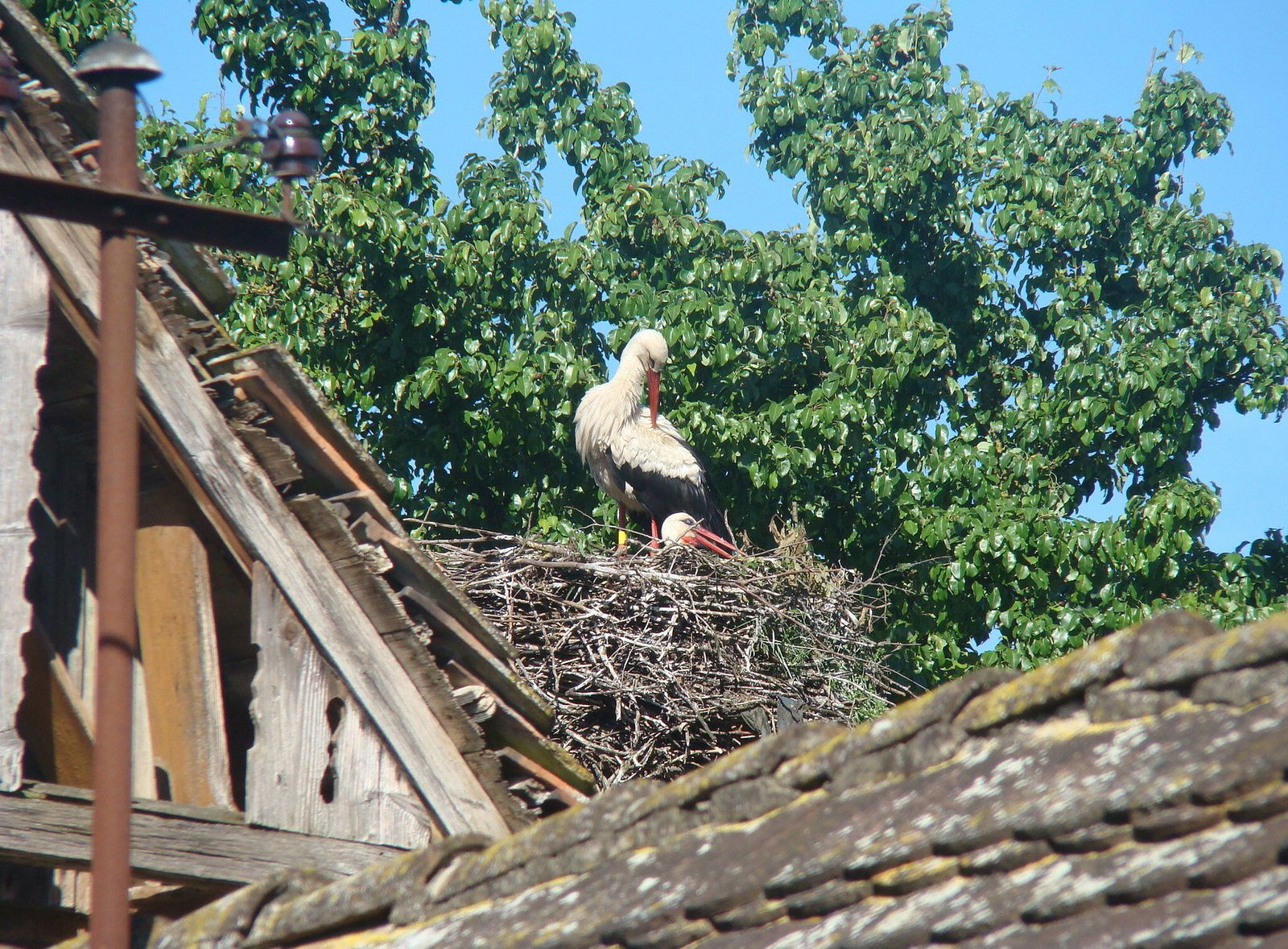 Rural Tourism Family Ravlic