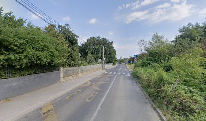 VIII. Jazbinski odv.