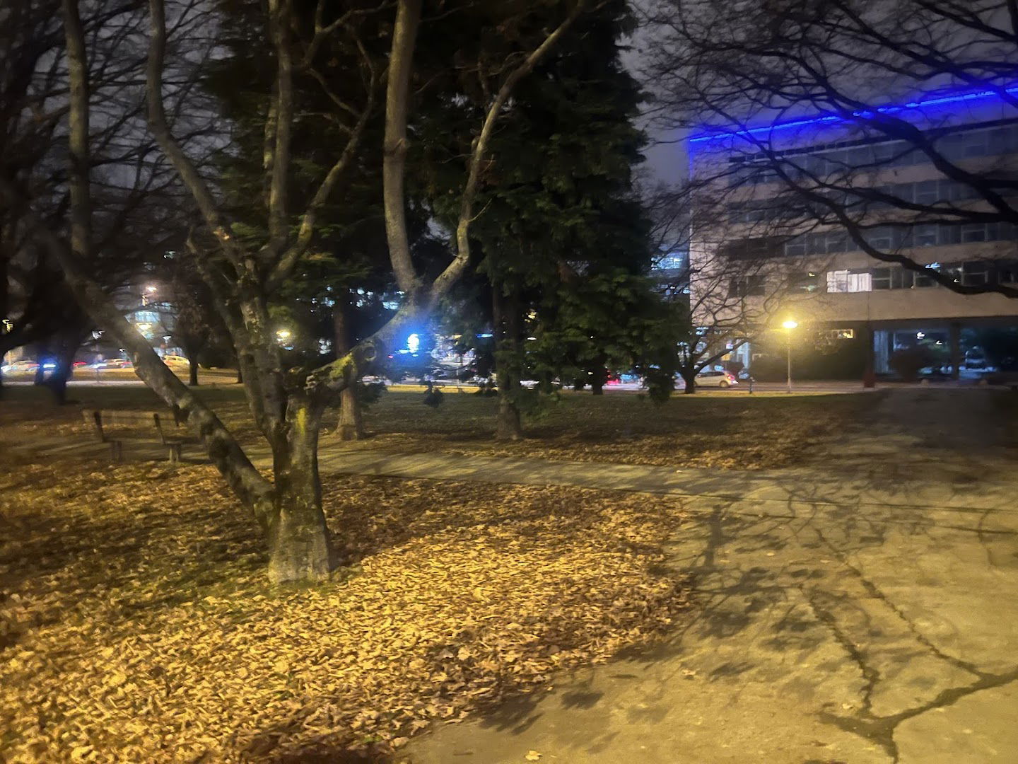 Park Stjepana Srkulja