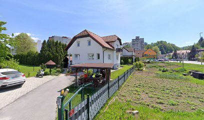 Montaža HS, poslovno svetovanje, Halil Sylaj s.p.