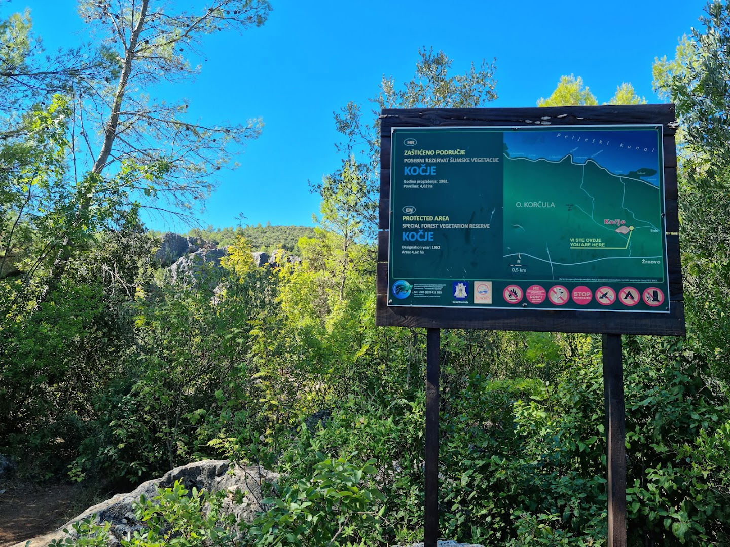 Posebni rezervat šumske vegetacije Kočje