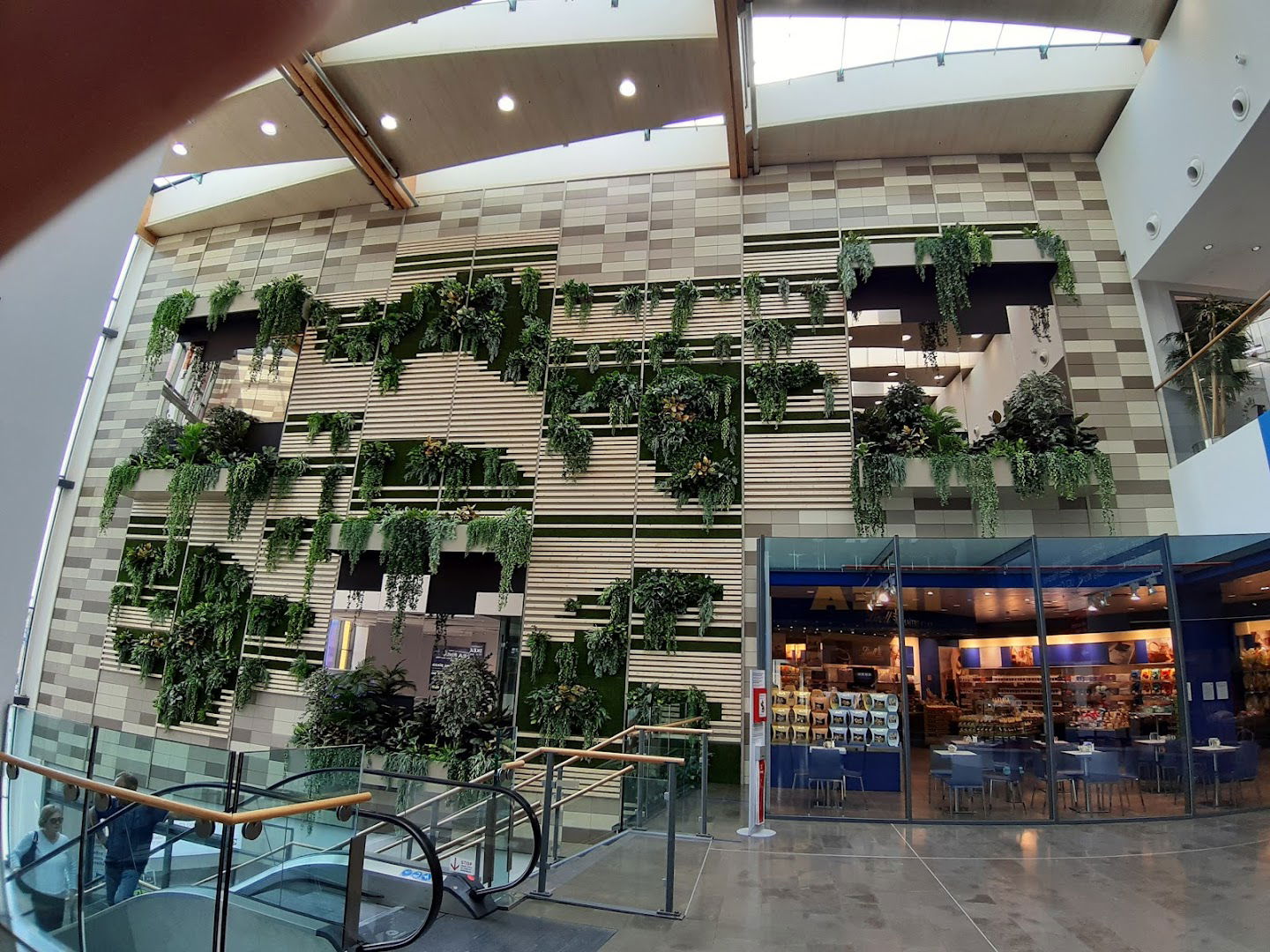 Floricoltura Gaggioli