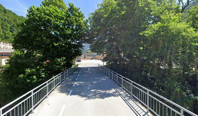 Trzic Bistrica Bridge