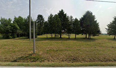 Old cemetery Veliki Zdenci