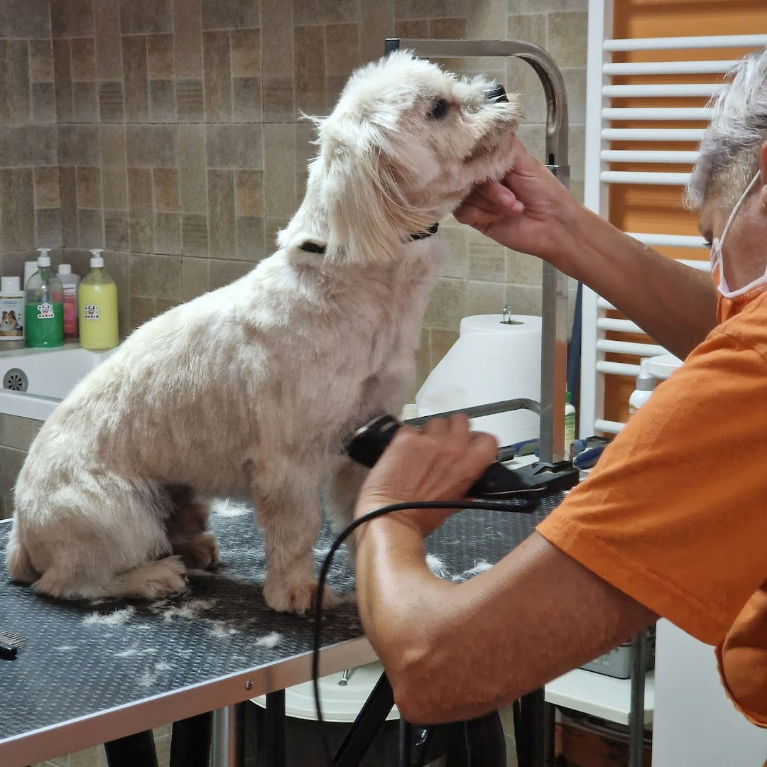 Šiško, obrt, vl. Ružica Jurak