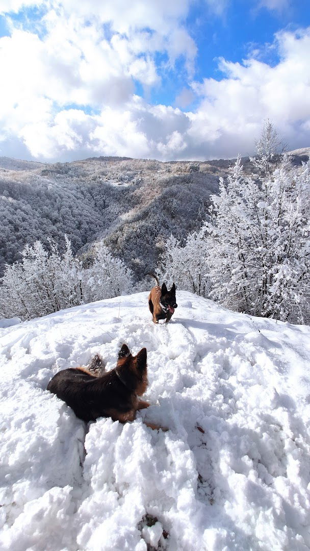 Vidikovac Scout planinarski put