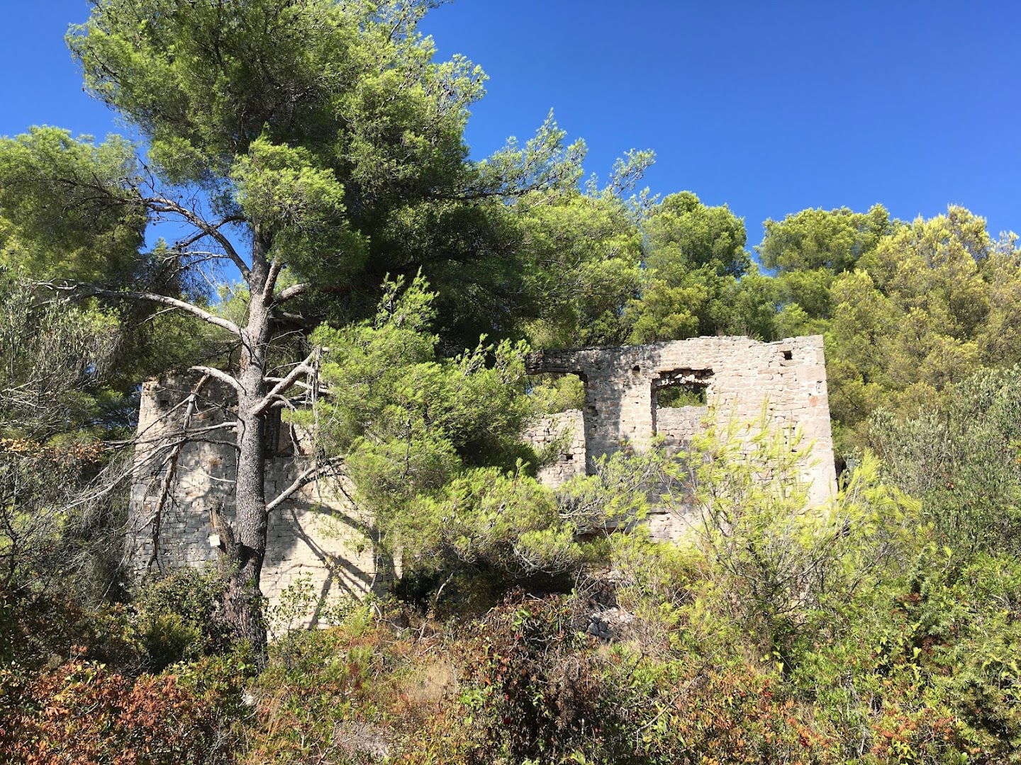 Benediktinski samostan (ostaci)