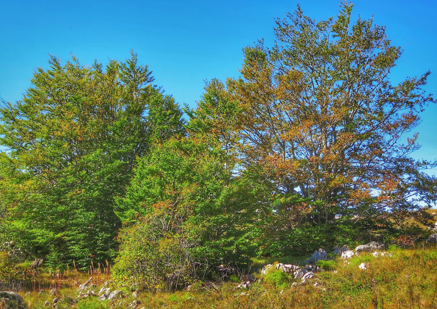 Planinarsko sklonište Bunarić-Miličić