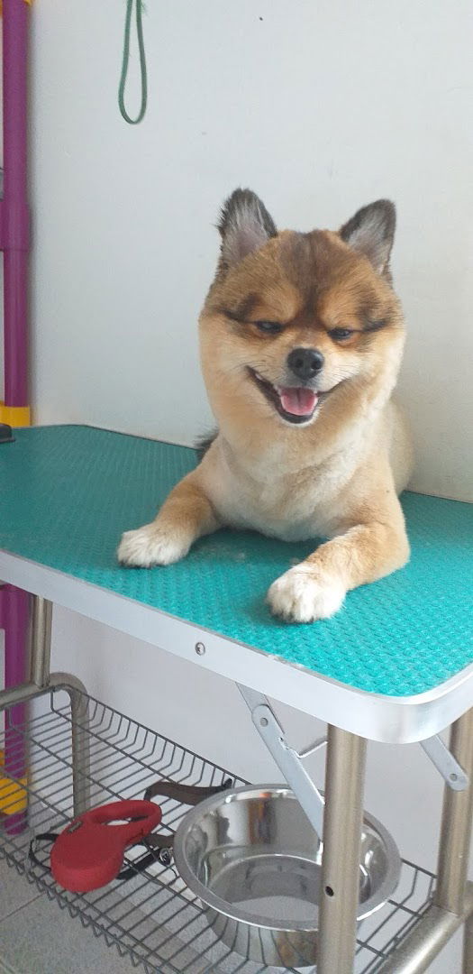 Veterinarska stanica Srna-Miljas Trebinje