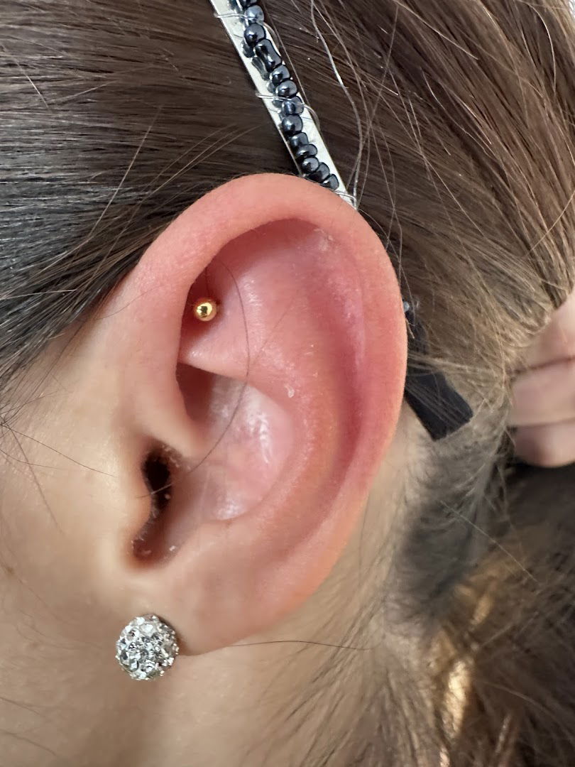 Trishic Piercing Academy