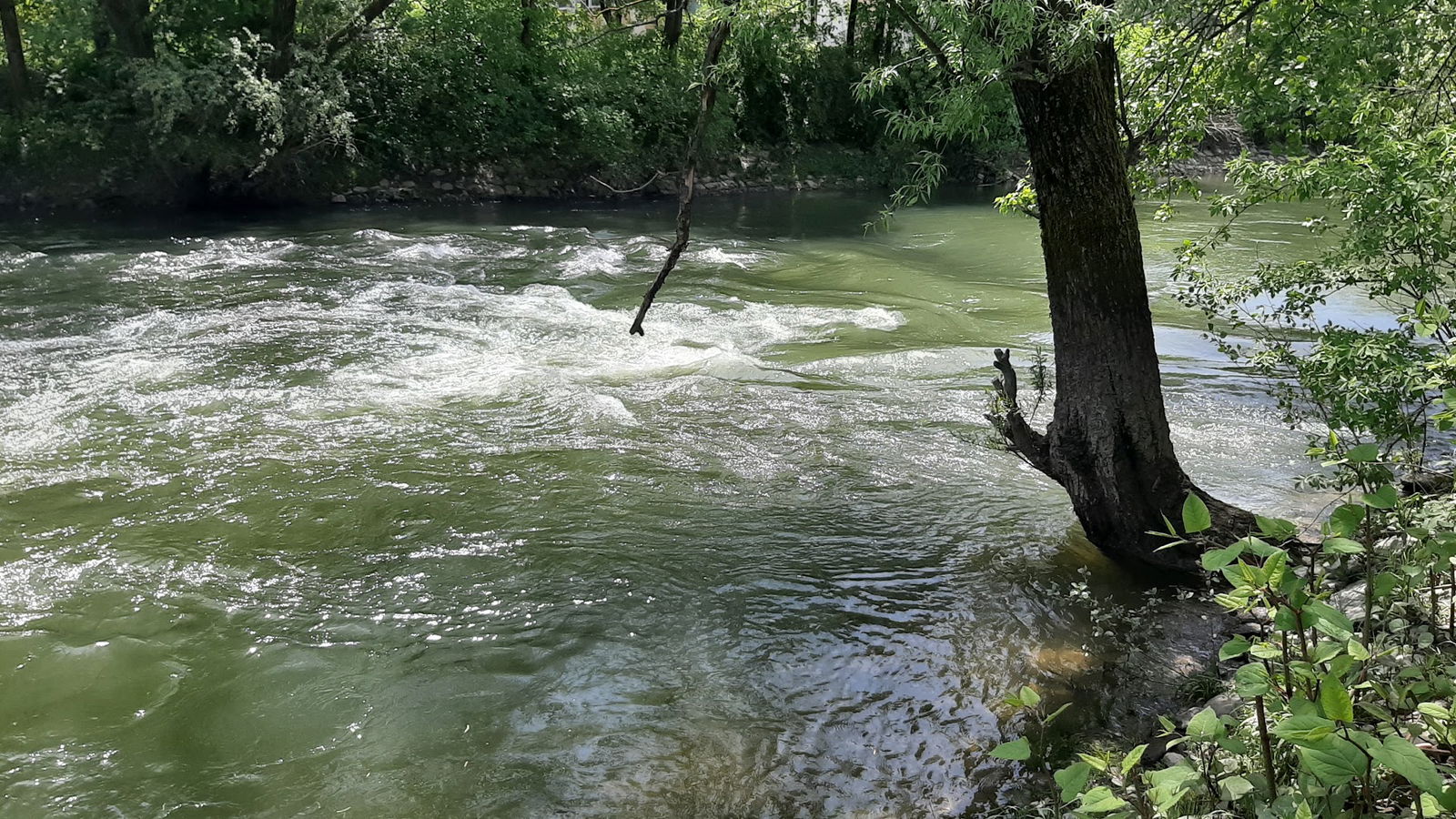 Sotočje Ljubljanice in Gruberjevega prekopa