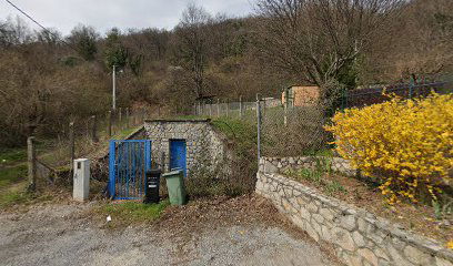 Trail staza trening start