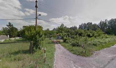 Auto servis i vulkanizer Nemanja