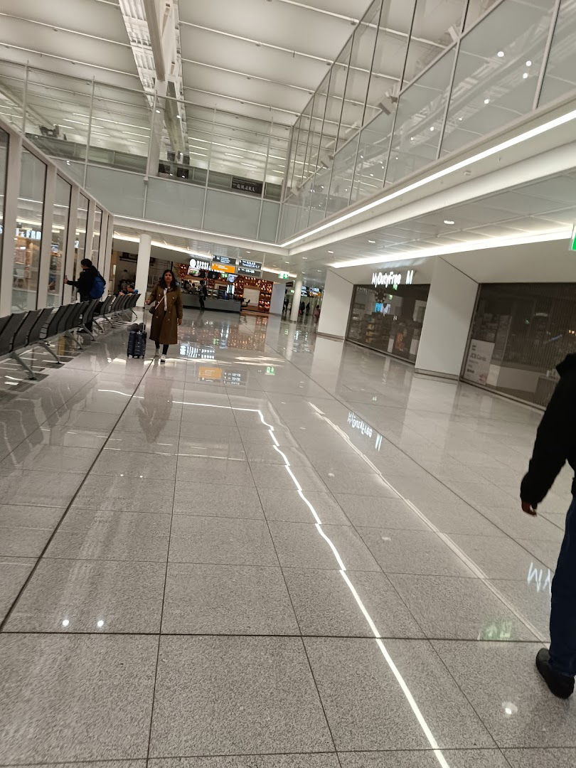 DVD SESVETE LUDBREŠKE