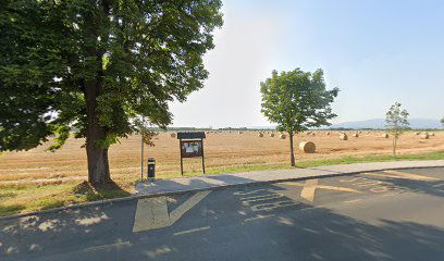 Brez.- pod kestenima