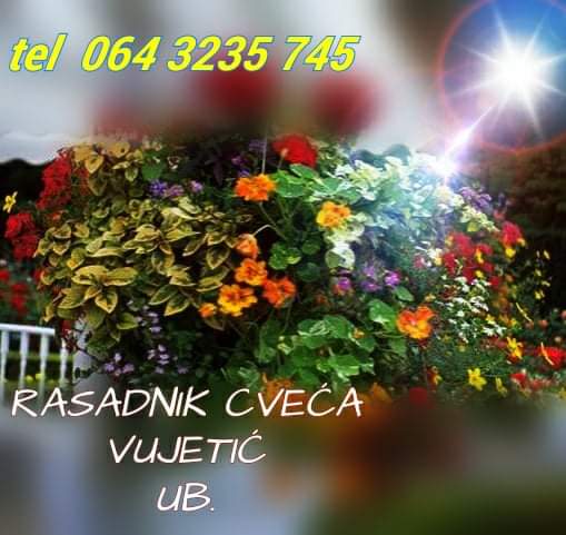 Rasadnik cveća Vujetić