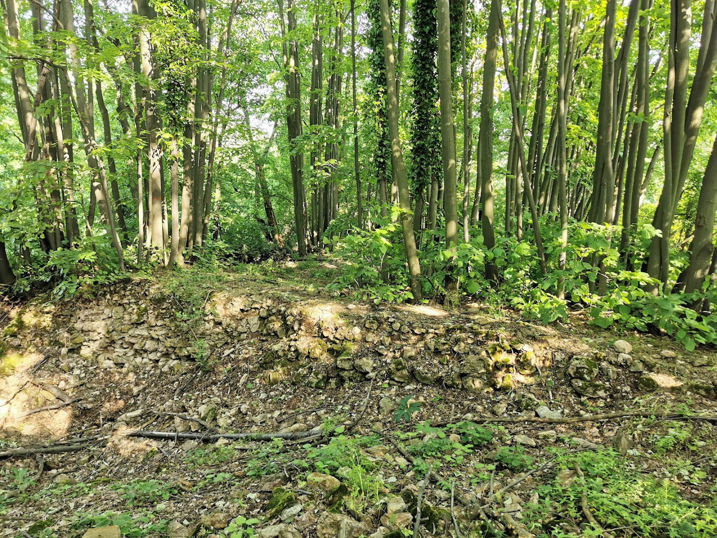 Ostaci rimske tvrđave Gradac