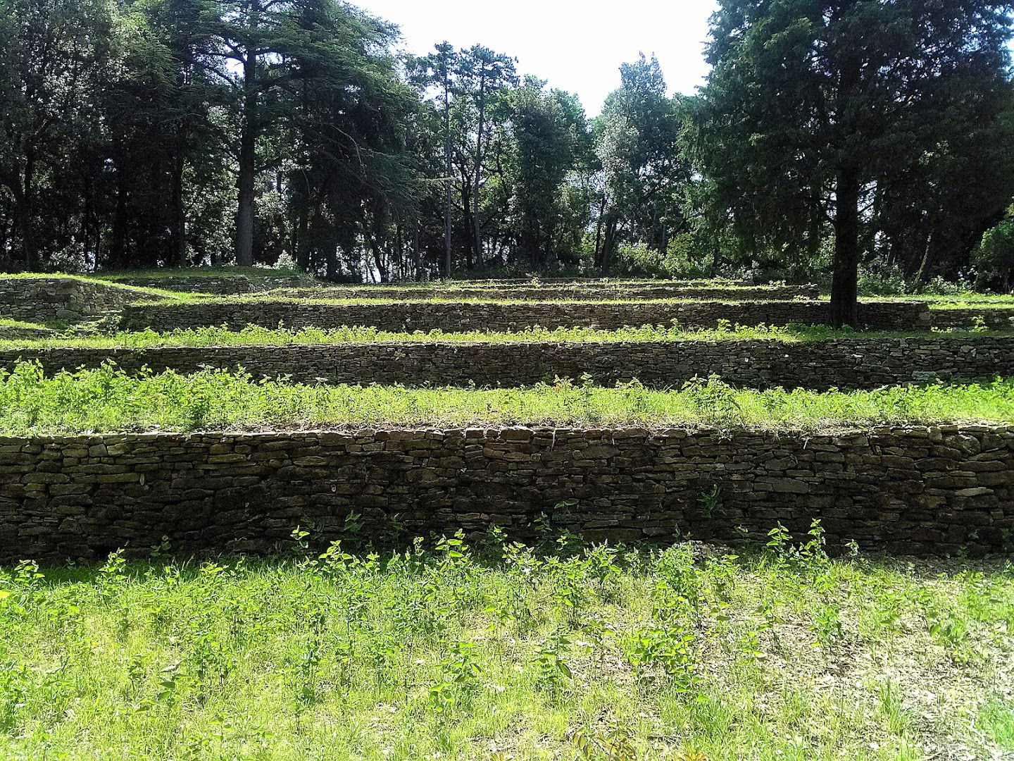 Esempio di Coltivazioni a terrazza (pastini)
