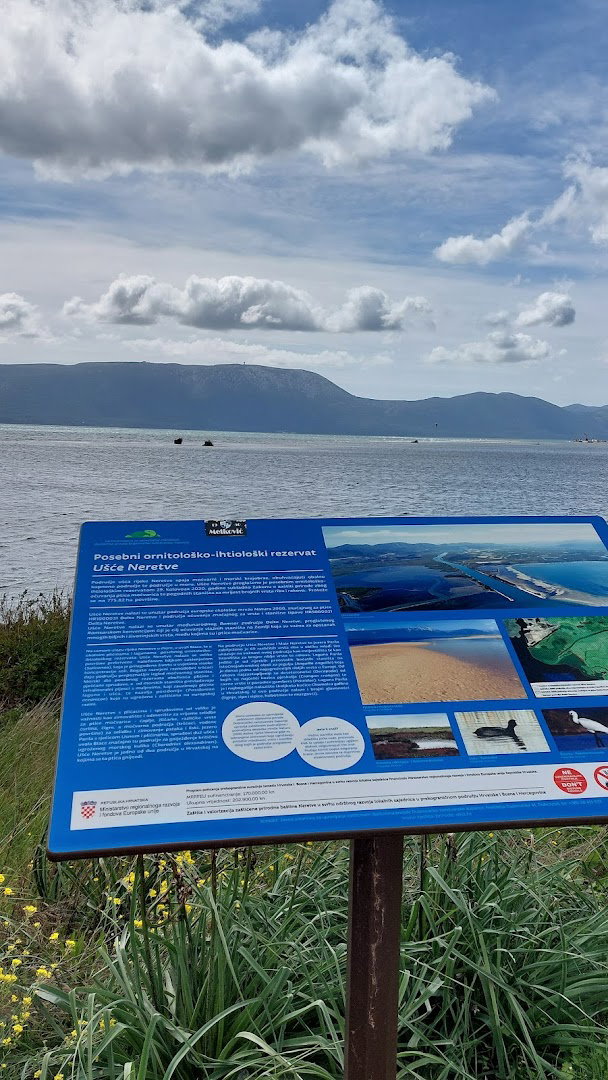 Promatračnica ptica