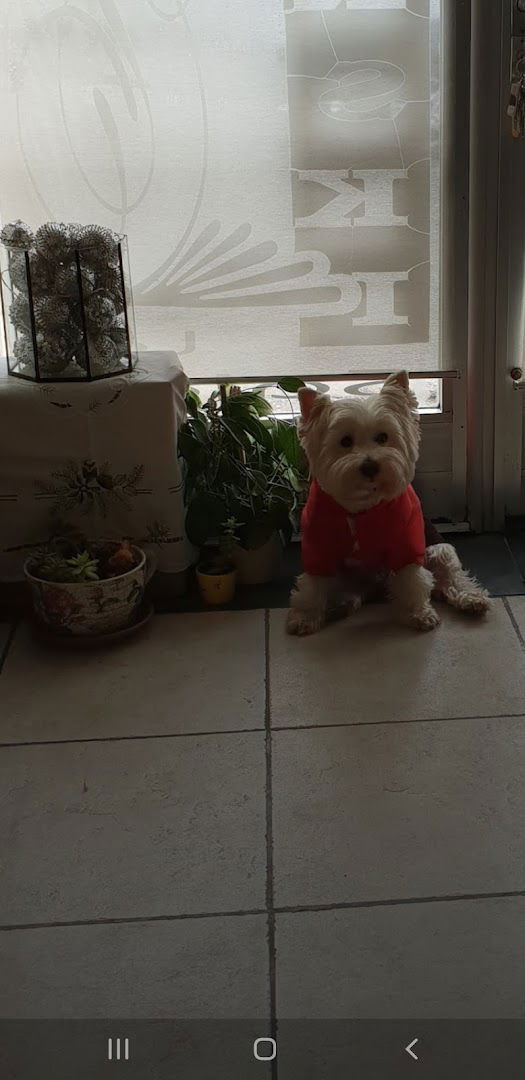 Frizerski salon Lori