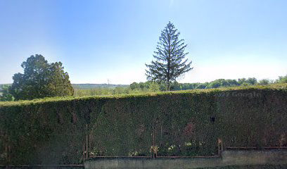 Kutinska Slatina cemetery