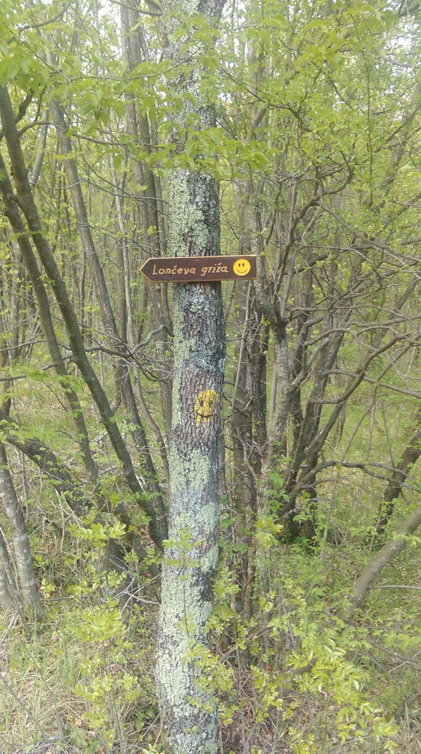 Lovačka kuća “Čapili” – grupa Marčelji