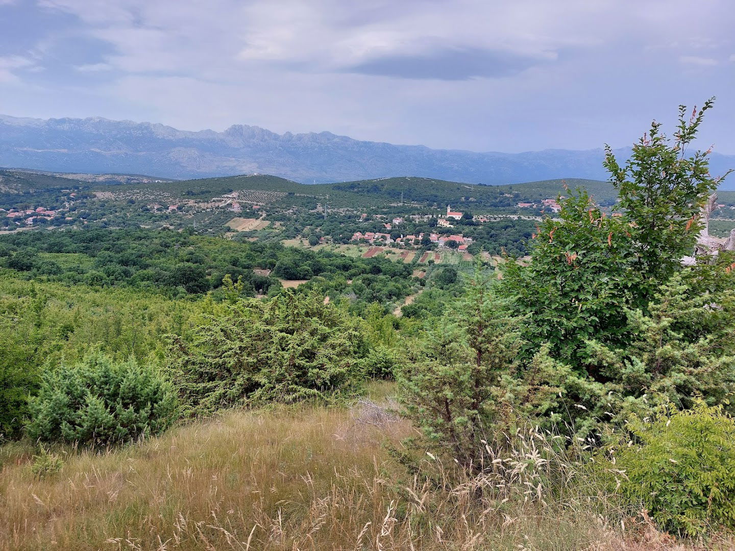 Izvor Osojnice / Water Source Osojnica