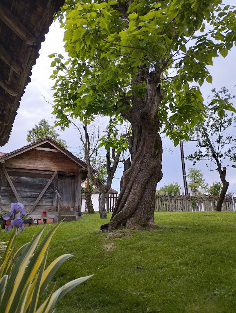 Средојевића пчелињак / Sredojevic Apiary