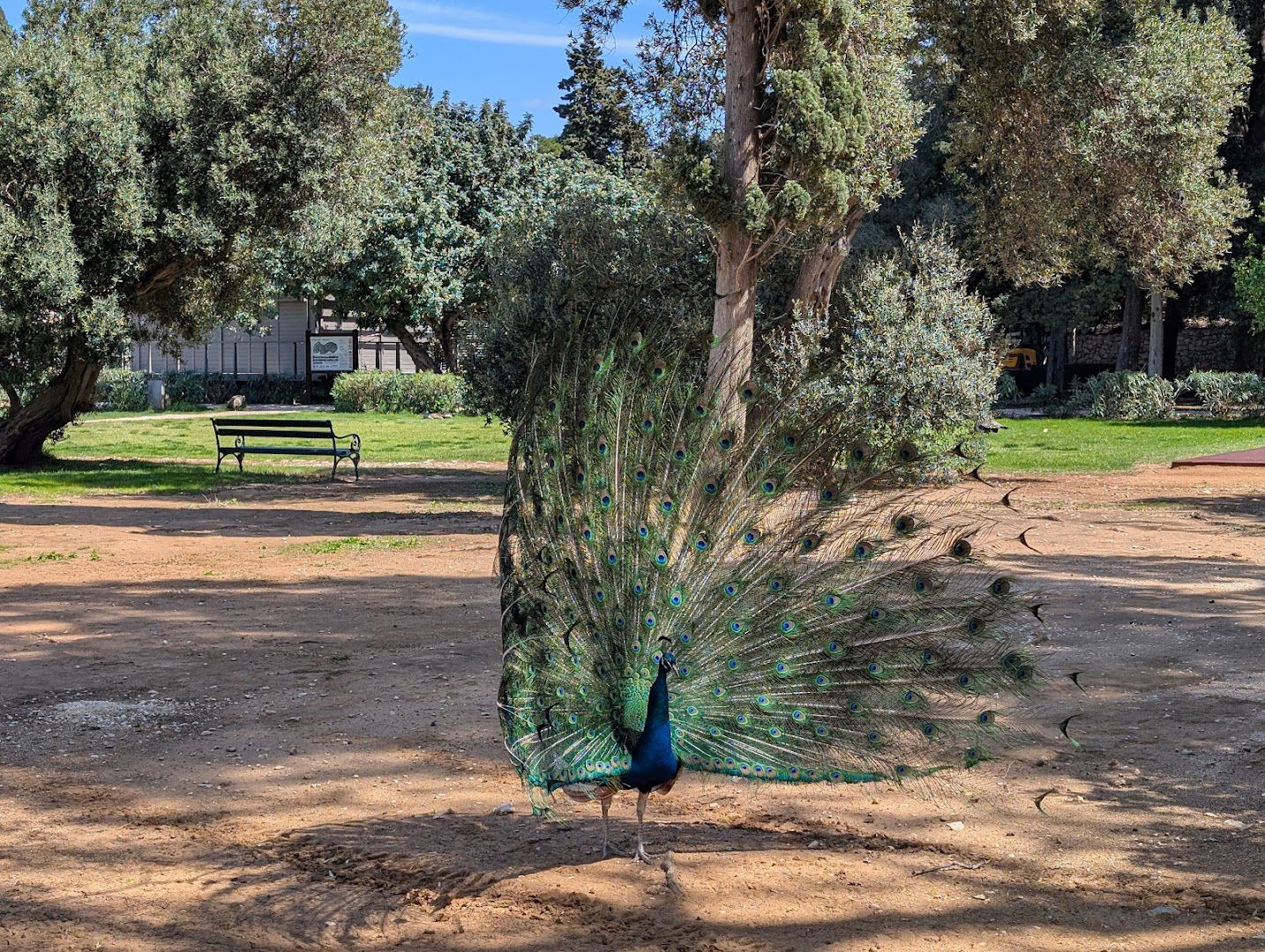 Outdoor Fitness Park and Playground