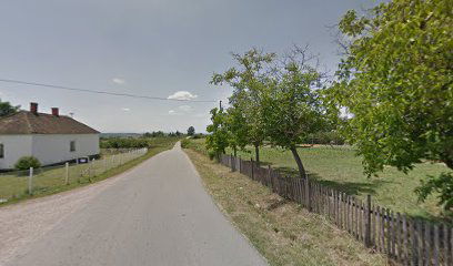 Arnajevo - okretnica