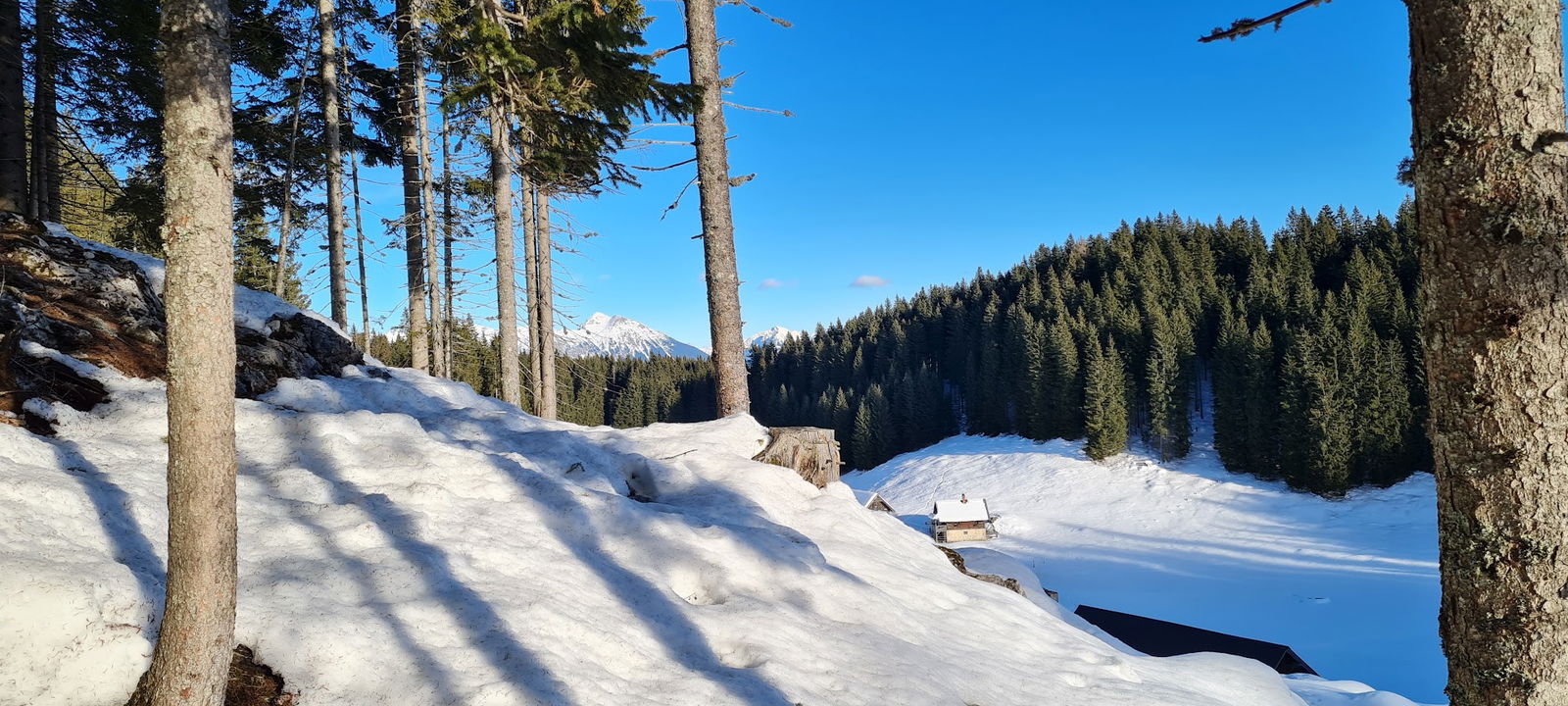 Pokljuka turizem, d.o.o.